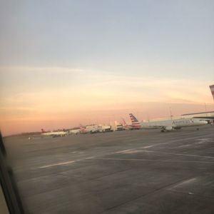 Meet your Posher, Oscar